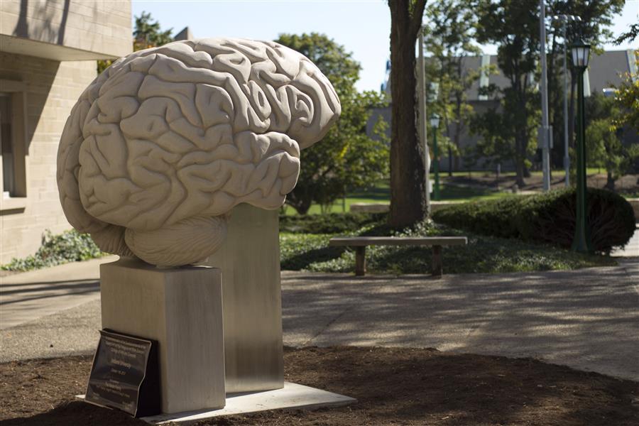 You Can T Put Brains In Statues at Barry Alldredge blog